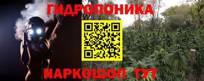 наркотики Будённовск