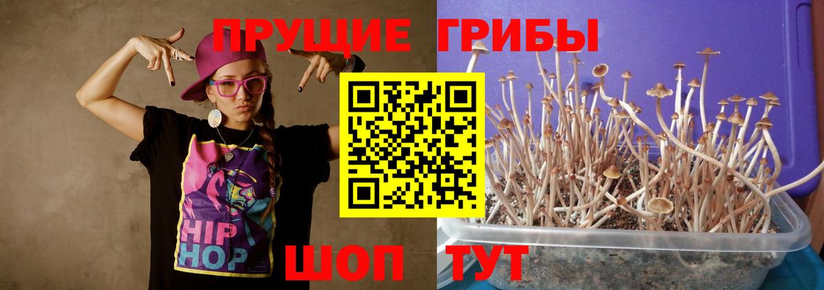 Псилоцибиновые грибы Magic Shrooms  Вход с VPN  Киржач 