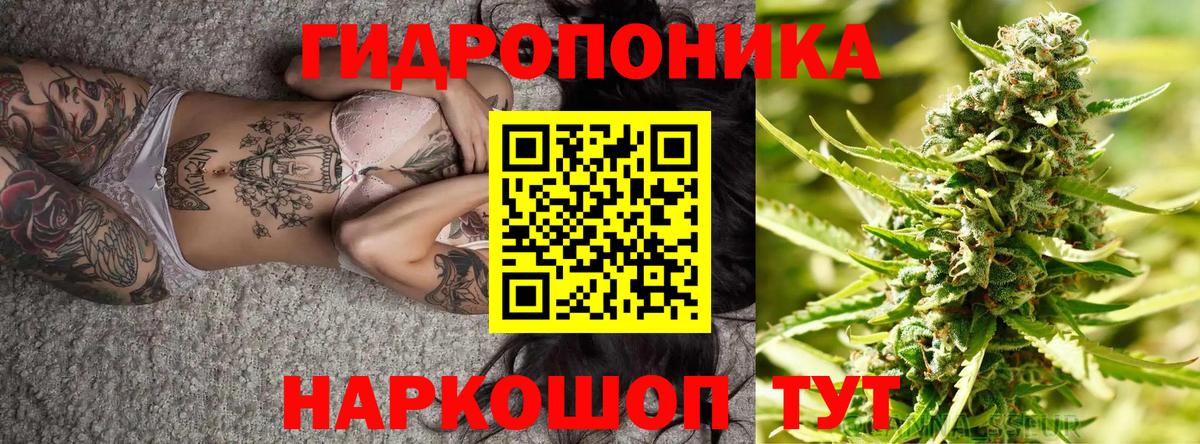 Каннабис Bruce Banner Киржач